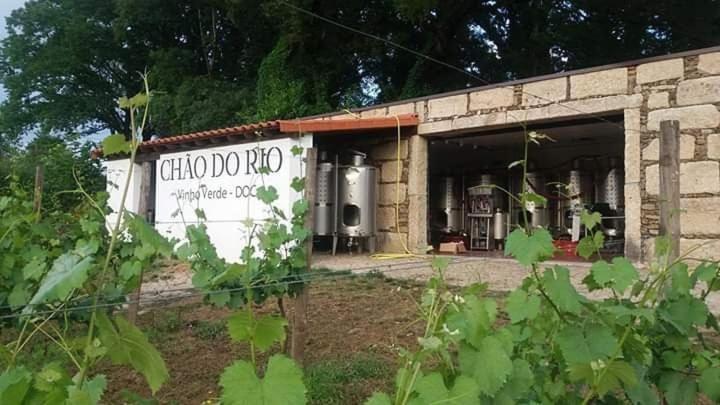 Quinta Da Chouza Agroturismo E Enoturismo Celorico De Basto Buitenkant foto