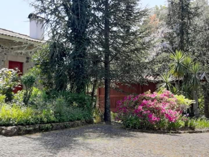 Quinta Da Chouza Agroturismo E Enoturismo Celorico De Basto Buitenkant foto