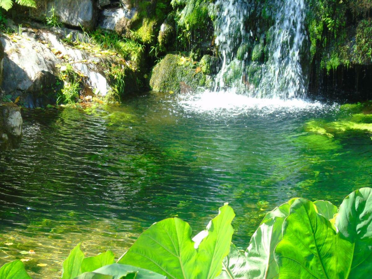Quinta Da Chouza Agroturismo E Enoturismo Celorico De Basto Buitenkant foto