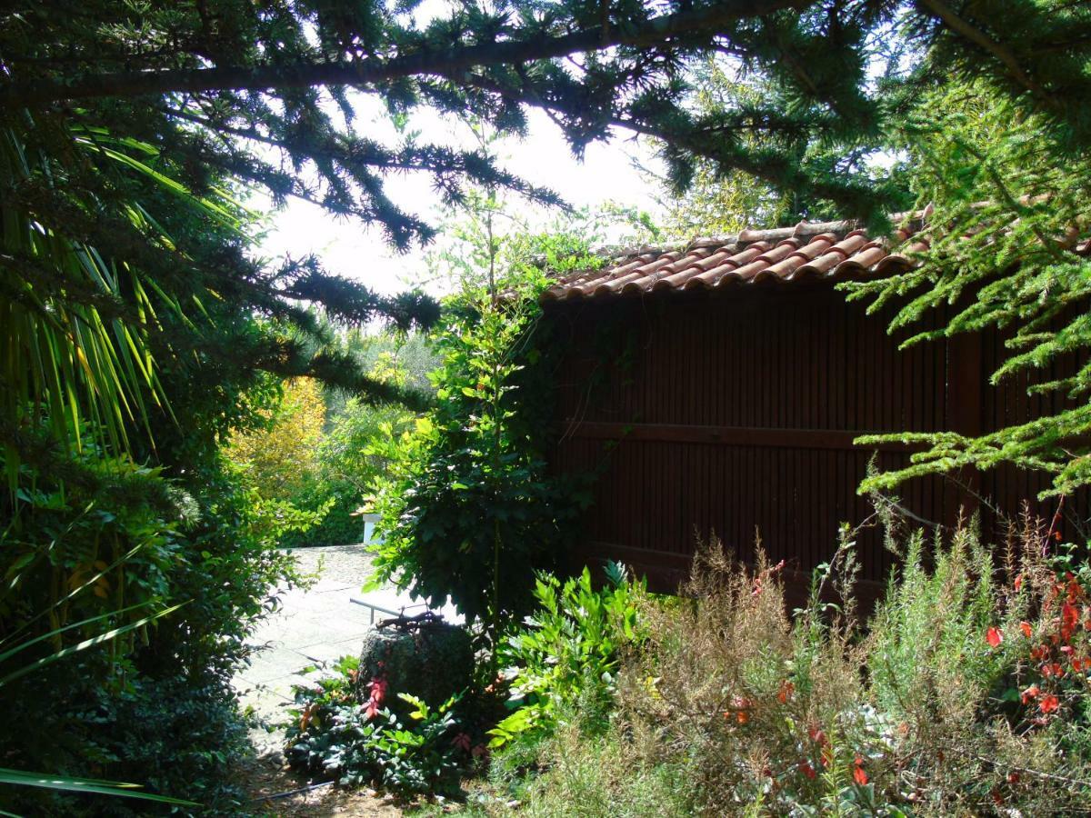 Quinta Da Chouza Agroturismo E Enoturismo Celorico De Basto Buitenkant foto