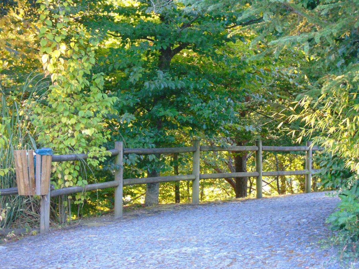Quinta Da Chouza Agroturismo E Enoturismo Celorico De Basto Buitenkant foto