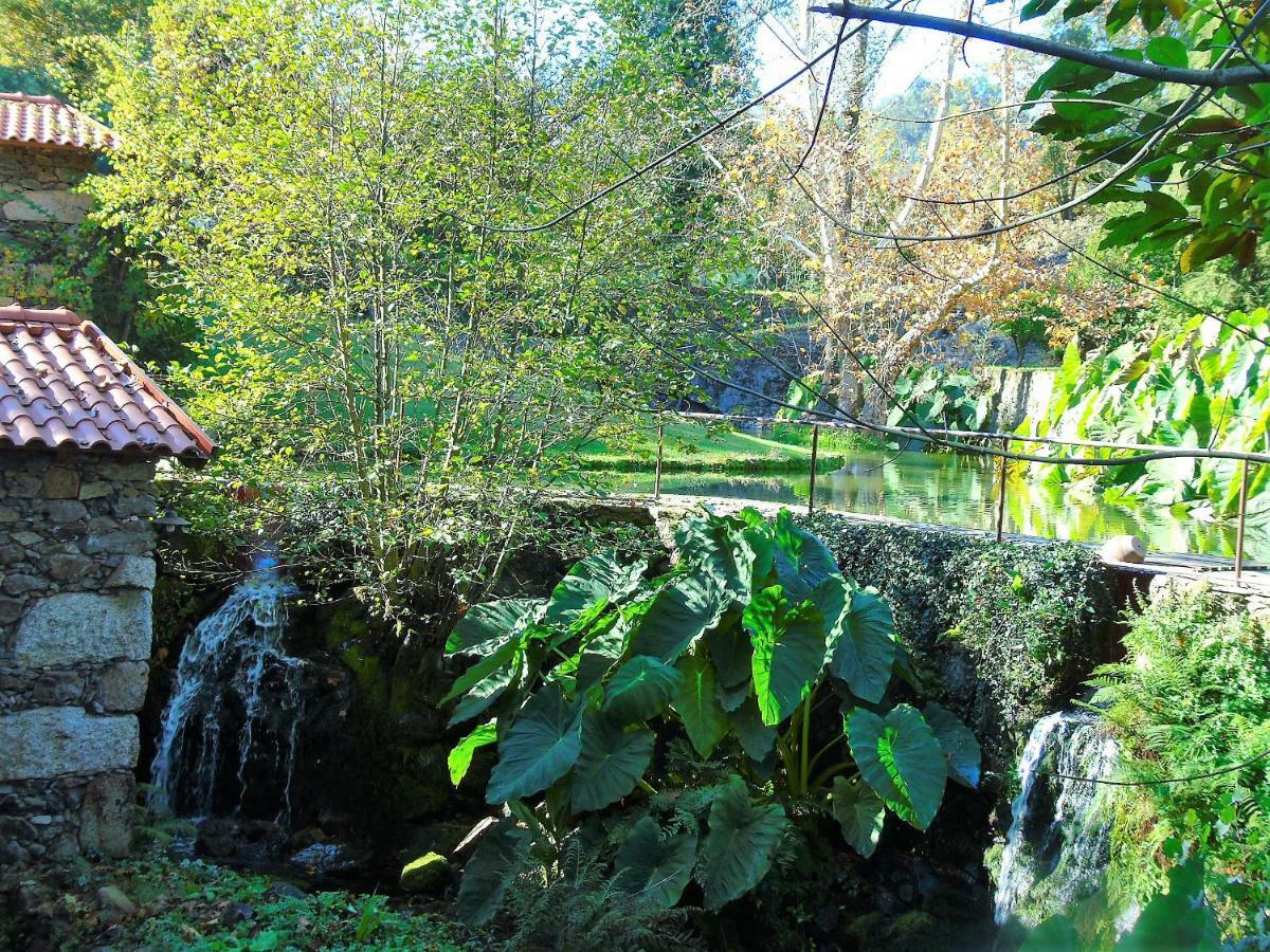 Quinta Da Chouza Agroturismo E Enoturismo Celorico De Basto Buitenkant foto