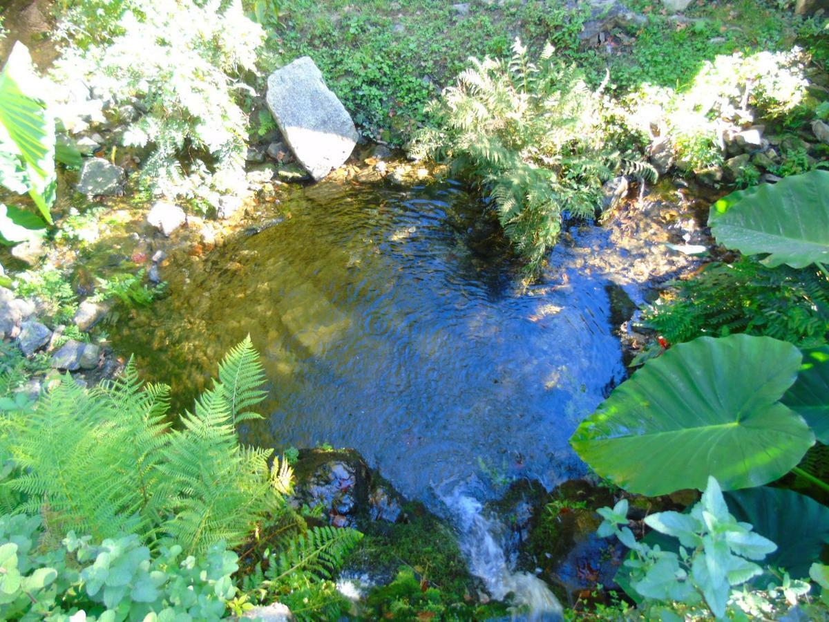 Quinta Da Chouza Agroturismo E Enoturismo Celorico De Basto Buitenkant foto
